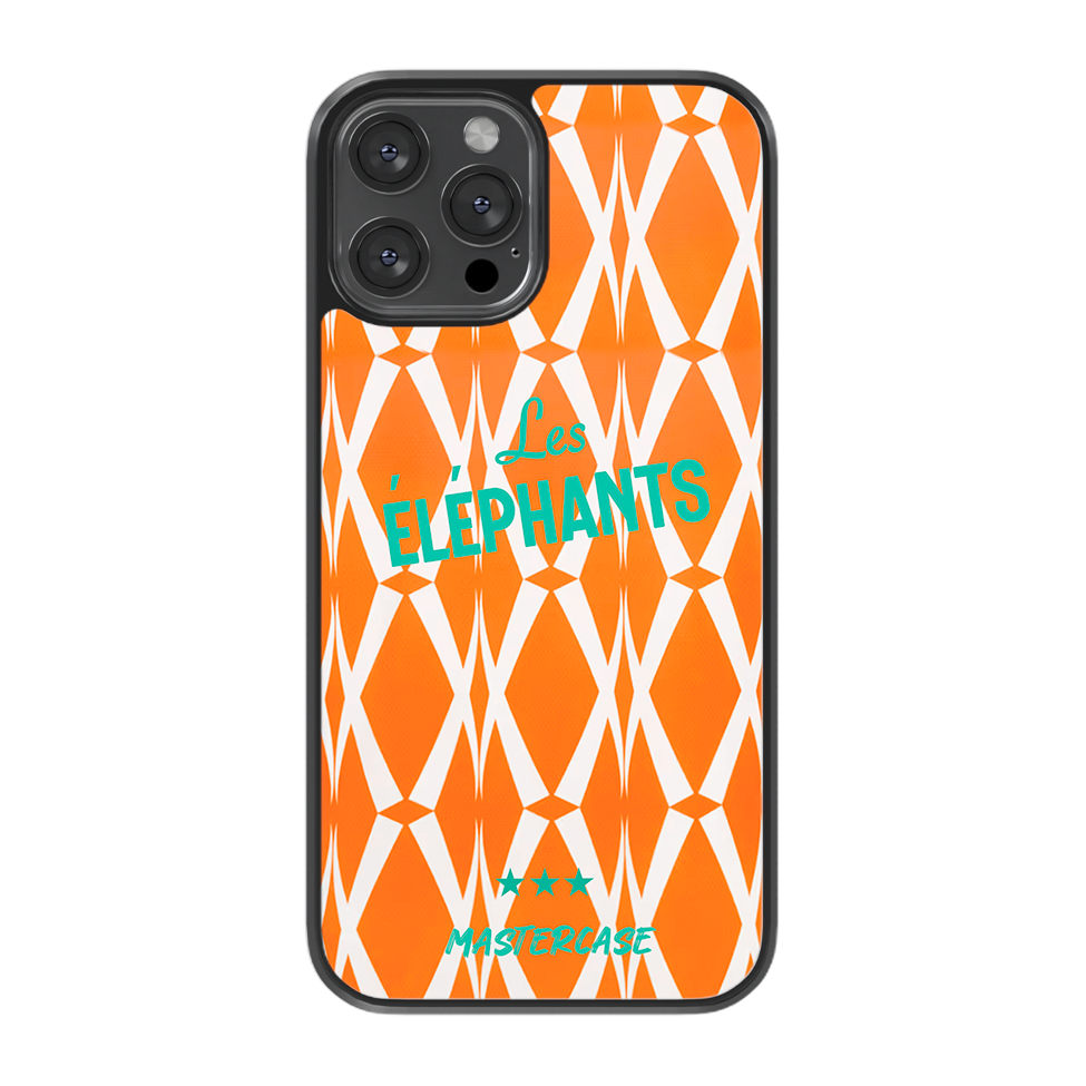Côte d'Ivoire - Fans