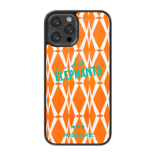 Côte d'Ivoire - Fans