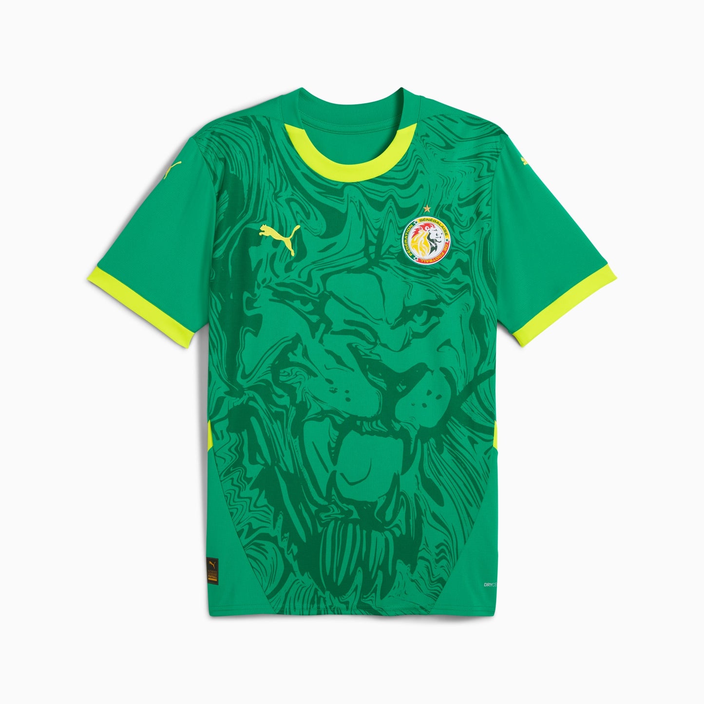 Maillot Sénégal Extérieur 🇸🇳